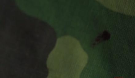梦境迷踪，解析梦见蛇咬自己的舌头的深层含义