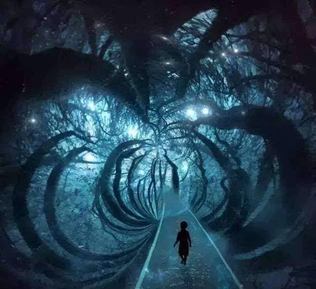 梦境的奇幻之旅，解析梦见自己变成白龙的深层含义