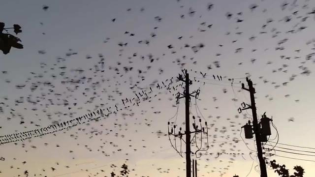 梦见过世的亲人，心灵的桥梁与未尽之缘的征兆