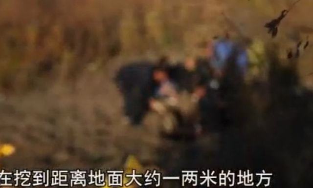 胎梦总是梦到死人坟墓正常吗？解析梦境背后的深层含义