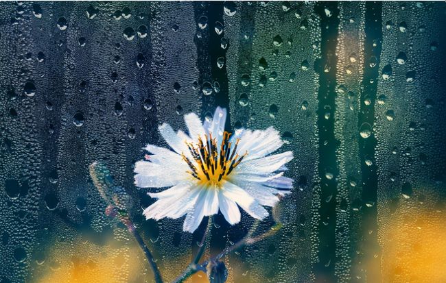 梦境的启示，梦见我喜欢的人通过我的考验的深层寓意