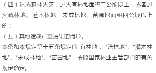 梦境中的警示，解读昨晚梦见与女儿被蛇咬的吉凶预兆