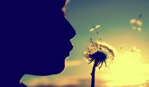 梦境中的重逢，解读梦到去世亲人的深层含义