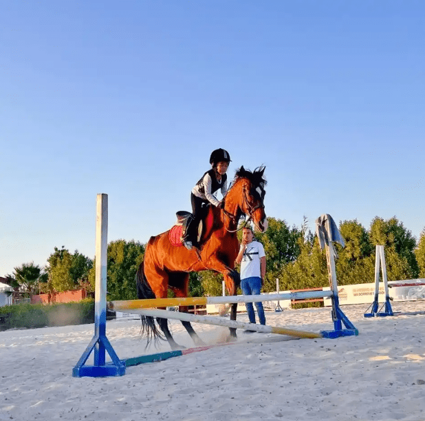 如何通過(guò)快手業(yè)務(wù)網(wǎng)站平臺(tái)實(shí)現(xiàn)低價(jià)提現(xiàn)？揭秘高效技巧！