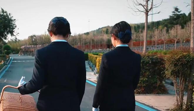 点赞商城平台入口，如何轻松开启你的购物之旅？