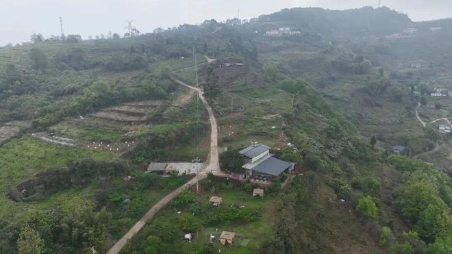 抖音免费1万点赞，你也能轻松做到吗？