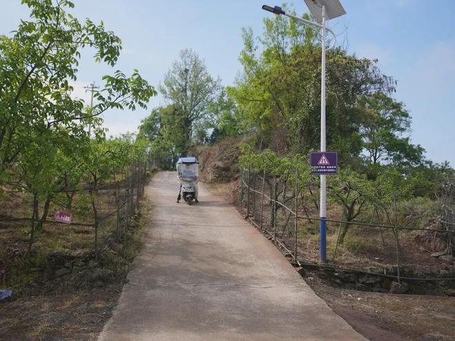 抖音免费1万点赞，你也能轻松做到吗？