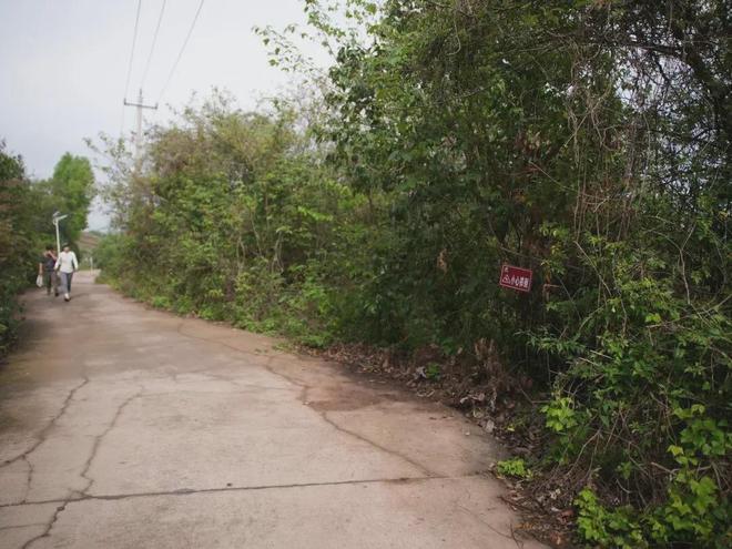 抖音免费1万点赞，你也能轻松做到吗？