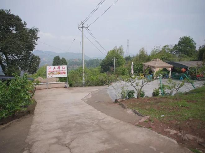 抖音免费1万点赞，你也能轻松做到吗？