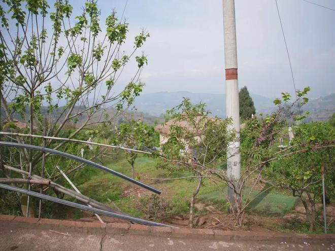 抖音免费1万点赞，你也能轻松做到吗？