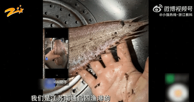 抖音自助网站，便宜真的香吗？