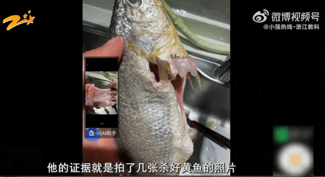 抖音自助网站，便宜真的香吗？