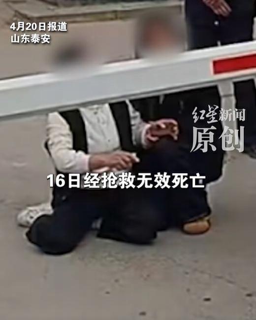 抖音涨赞双击置顶，如何轻松提升视频热度？