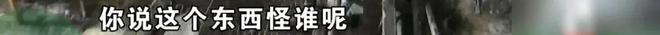 抖音直播爱心自助下单，揭秘段子背后的秘密？