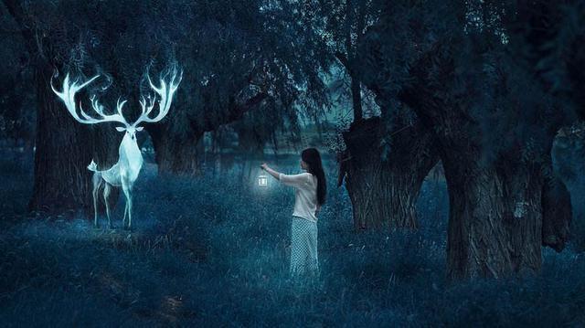 灵魂之旅，探索梦境中的生死轮回——前几天我梦到自己死了，却以灵魂之姿归来