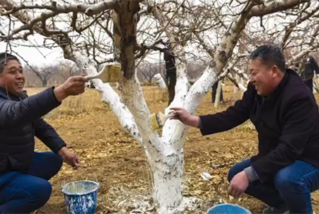 拉尼娜來了，今年會是60年最冷冬天？本周冷空氣真來了！