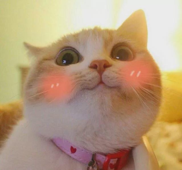 对避孕套过敏有什么表现对避孕套过敏怎么办？除了套套还有哪些方式可以保住性福4