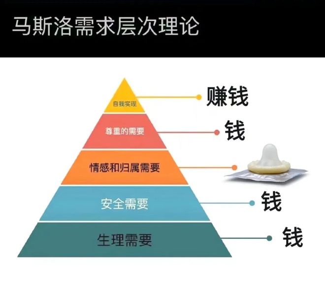狗可以坐飞机高铁吗现在到了连狗子也可以用飞机杯的时代了？插图19