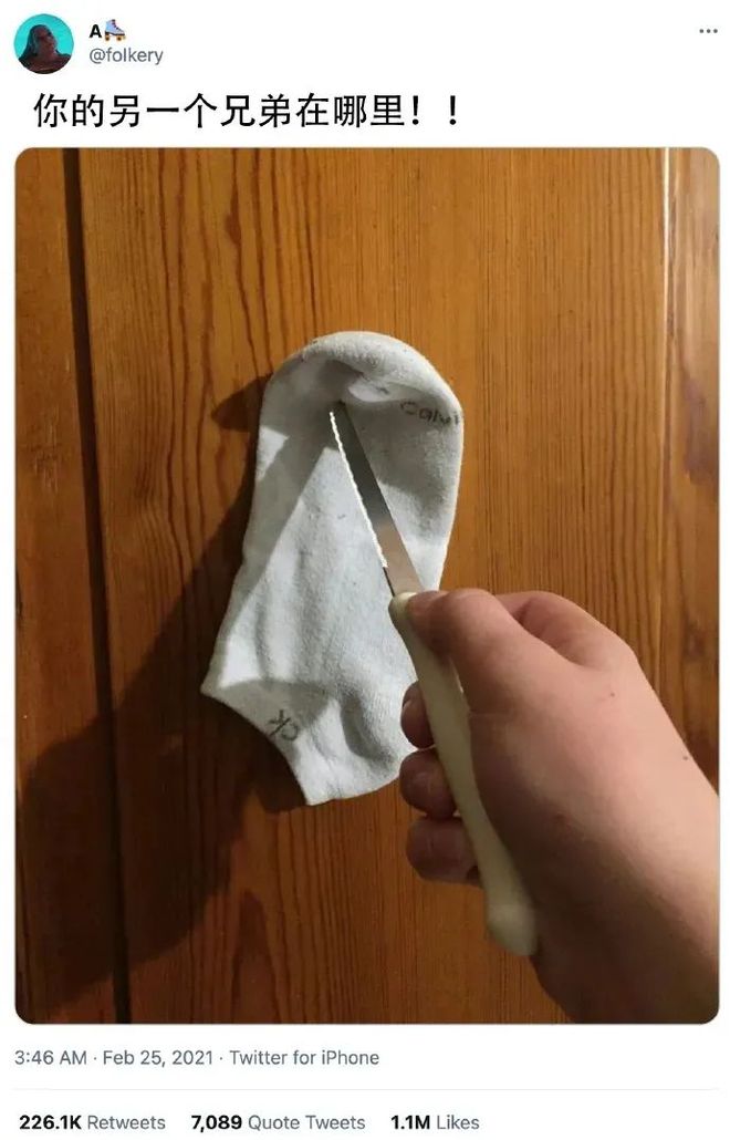 狗可以坐飞机高铁吗现在到了连狗子也可以用飞机杯的时代了？插图17