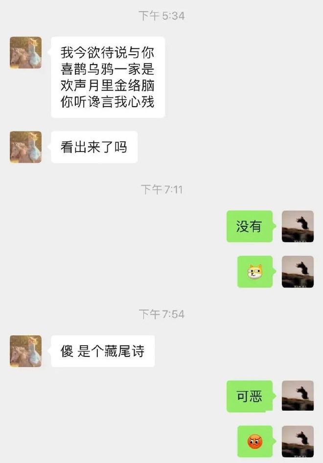 狗可以坐飞机高铁吗现在到了连狗子也可以用飞机杯的时代了？插图16