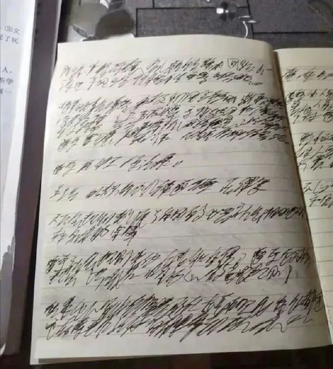 狗可以坐飞机高铁吗现在到了连狗子也可以用飞机杯的时代了？插图13