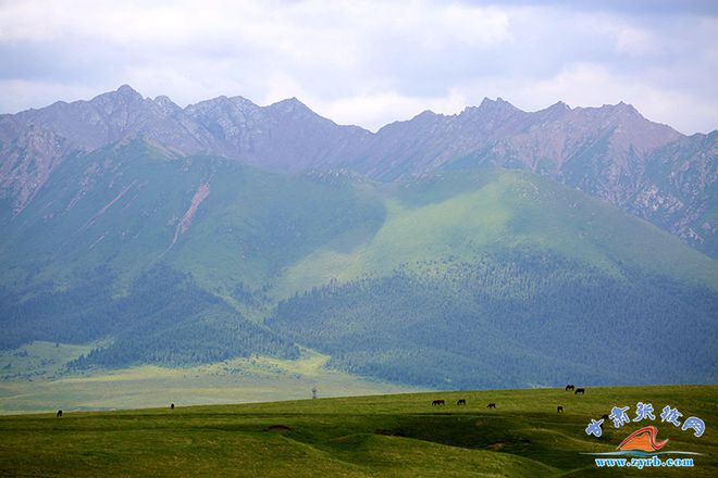 山丹军马场好玩吗还是祁连草原_【山丹军马场旅游是去一场还是三场】