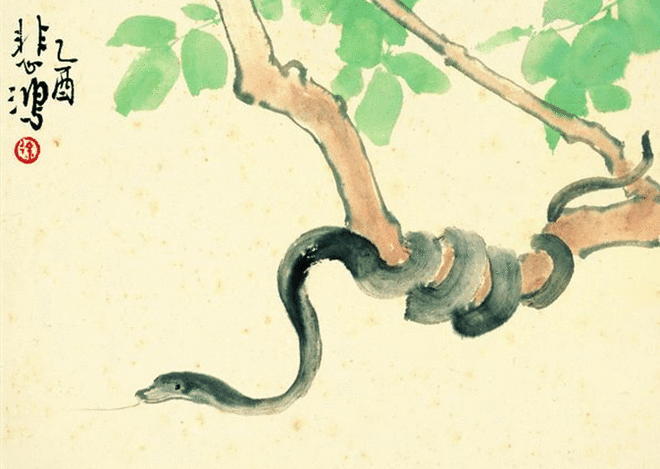 孕梦黑蛇被杀，另一孕妇递来食物——一场关于生命博弈与心理投射的解梦之旅