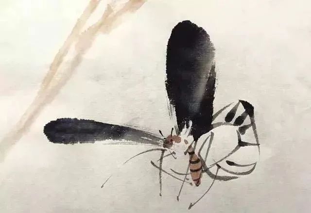 【國畫教程】幾種寫意蝴蝶的畫法，學(xué)會(huì)了拿去補(bǔ)景是一絕