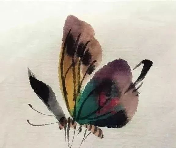 【國畫教程】幾種寫意蝴蝶的畫法，學(xué)會(huì)了拿去補(bǔ)景是一絕