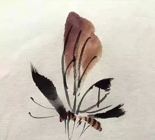 【國畫教程】幾種寫意蝴蝶的畫法，學(xué)會(huì)了拿去補(bǔ)景是一絕