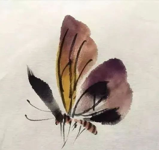 【國畫教程】幾種寫意蝴蝶的畫法，學(xué)會(huì)了拿去補(bǔ)景是一絕