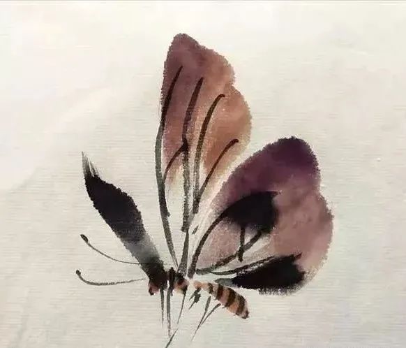 【國畫教程】幾種寫意蝴蝶的畫法，學(xué)會(huì)了拿去補(bǔ)景是一絕