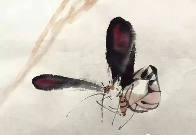 【國畫教程】幾種寫意蝴蝶的畫法，學(xué)會(huì)了拿去補(bǔ)景是一絕