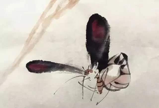 【國畫教程】幾種寫意蝴蝶的畫法，學(xué)會(huì)了拿去補(bǔ)景是一絕