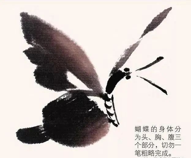 【國畫教程】幾種寫意蝴蝶的畫法，學(xué)會(huì)了拿去補(bǔ)景是一絕