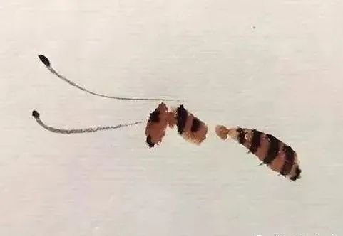 【國畫教程】幾種寫意蝴蝶的畫法，學(xué)會(huì)了拿去補(bǔ)景是一絕