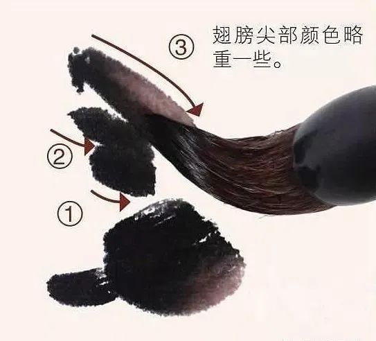 【國畫教程】幾種寫意蝴蝶的畫法，學(xué)會(huì)了拿去補(bǔ)景是一絕