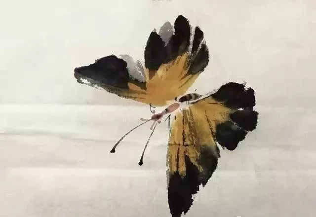 【國畫教程】幾種寫意蝴蝶的畫法，學(xué)會(huì)了拿去補(bǔ)景是一絕