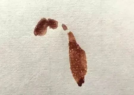 【國畫教程】幾種寫意蝴蝶的畫法，學(xué)會(huì)了拿去補(bǔ)景是一絕