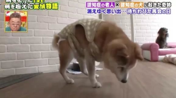 17歲住進養(yǎng)老院的她，一年后與親人再重逢，畫面感動無數(shù)網(wǎng)友