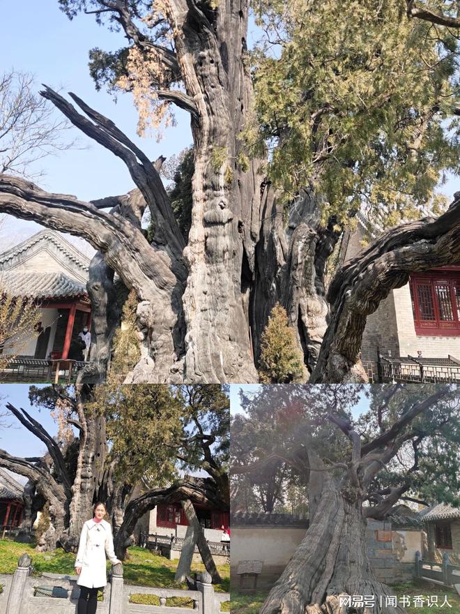 一人窮游｜五岳之嵩山一日游攻略（超詳細(xì)）