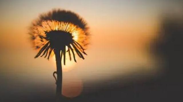 梦见死去的亲人回来，一场心灵深处的重逢与慰藉