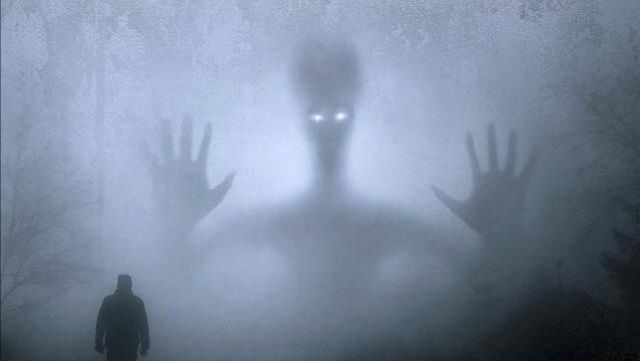 梦见蝙蝠，探索梦境背后的神秘预兆