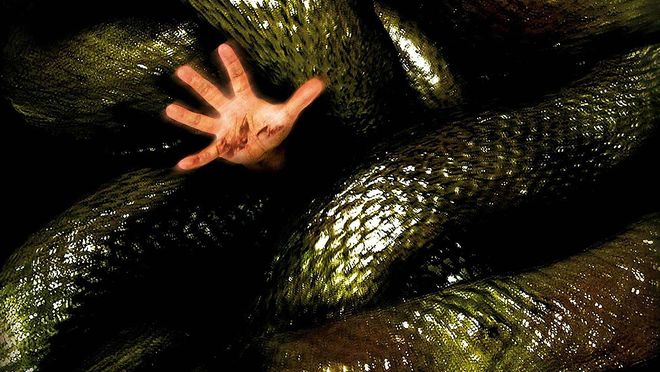 女人梦见很多蛇，解梦之旅的深层含义与心理解析