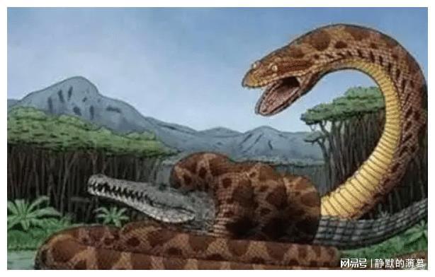 孕妇梦见大蟒蛇卧在床边，寓意、解析与心理启示