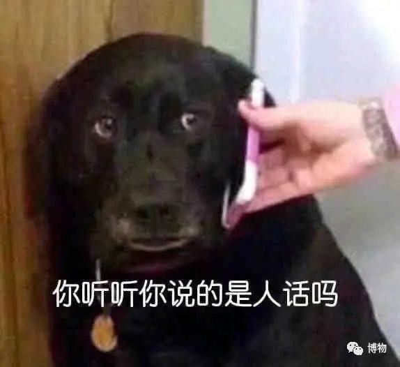 梦境迷离，解析梦见吃屎的深层含义与心理暗示