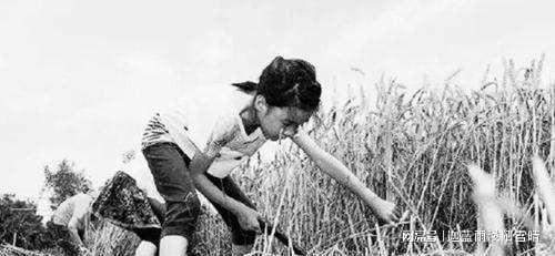 梦见刚死者披麻戴孝，探寻梦境背后的深层含义与心理解析