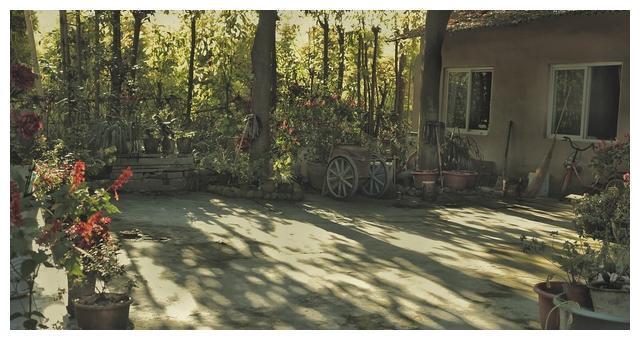 梦境迷离，解析梦见姐姐家房屋内有一个坟，院子有坑坑，还露出棺材的深层含义