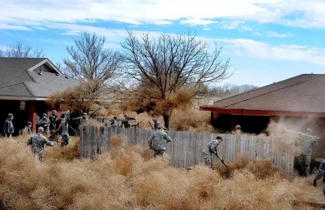 梦之寓言，洪水侵袭下的心灵寓所——解析梦见自己的房子快被大水淹没的深层含义