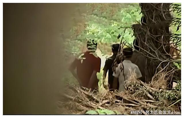 梦境迷雾，揭开梦见棺材里有白骨的神秘面纱